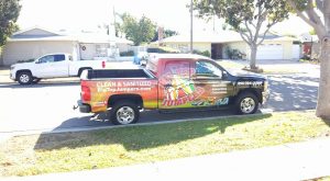 Black Parrot Sign Studio Customer Review